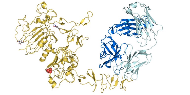 Annotation image