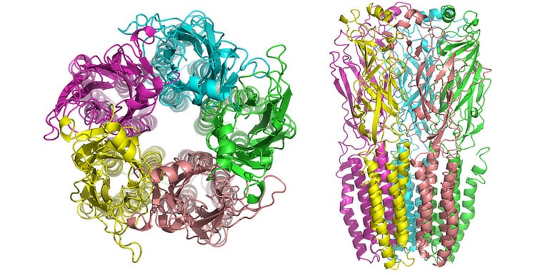 Annotation image