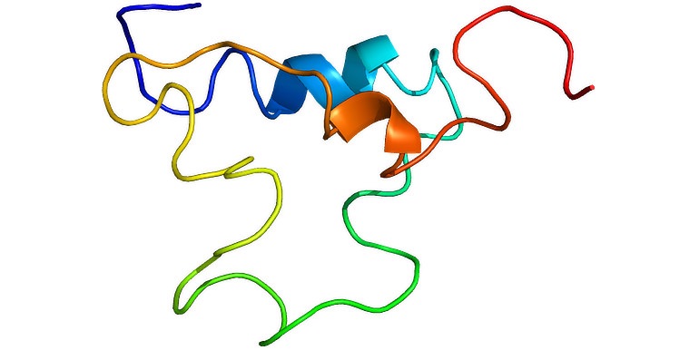 Annotation image