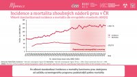 Datový audit 2024 – vybrané slajdy